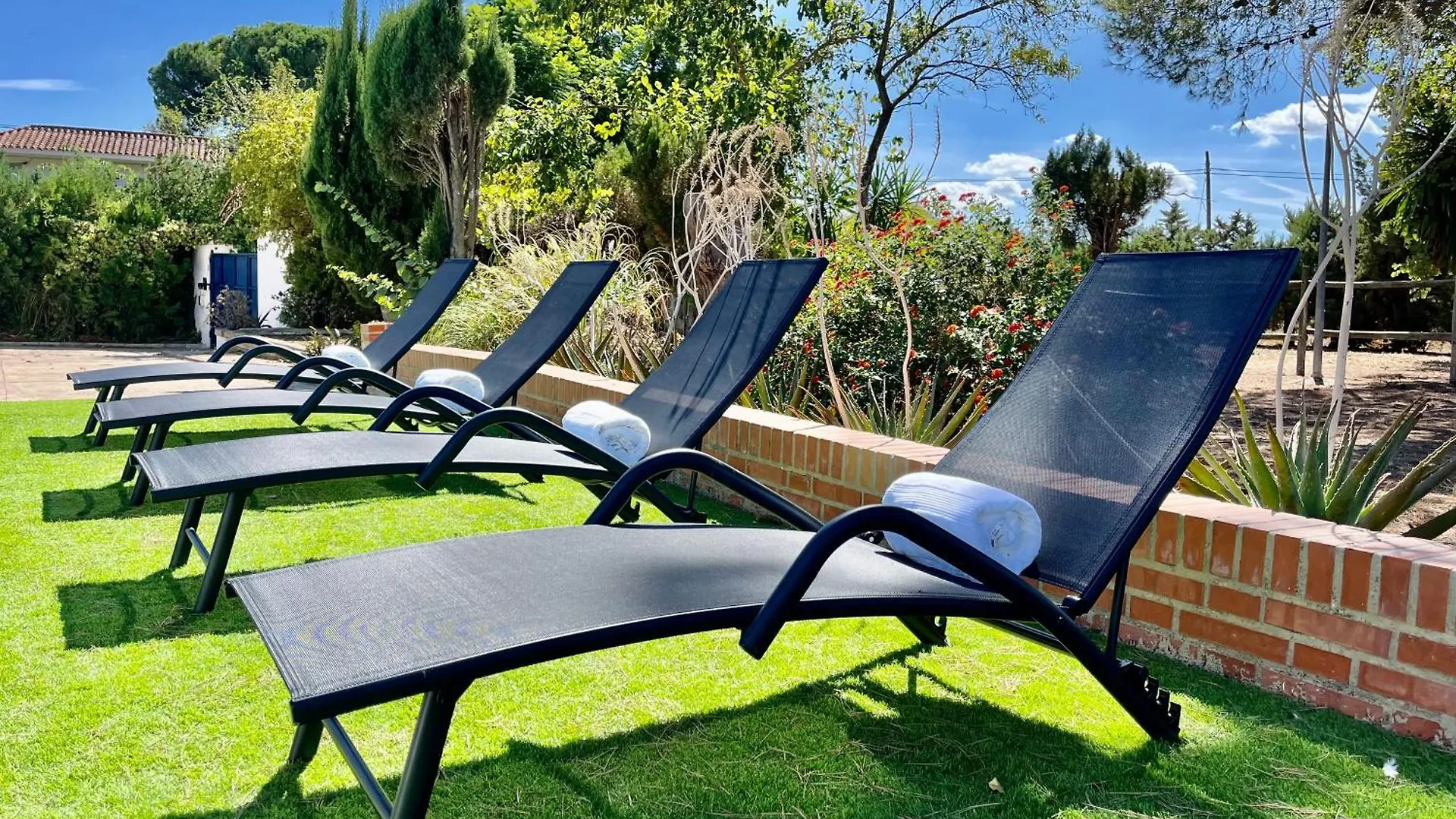 Villa San Patricio I Piscina Privada I Jacuzzi Spa I Bbq I Ps5 I Aire Acon I 3000M2 I 5Min-Centro Jerez de la Frontera España